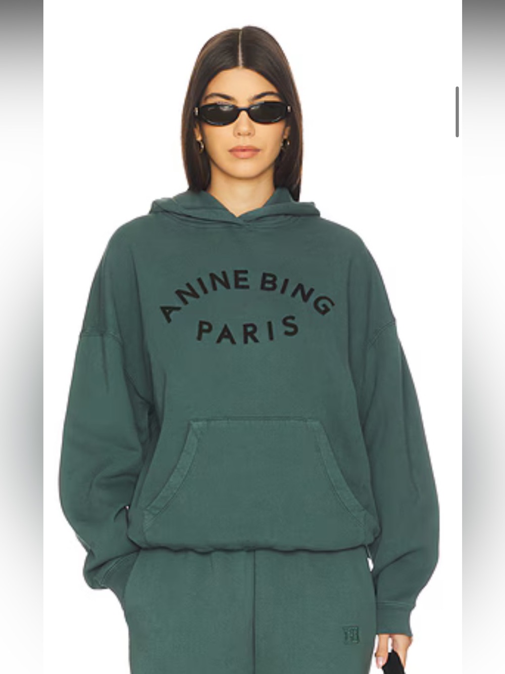 Anine Bing Paris Hoodie